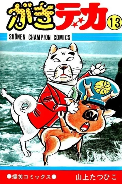 Cover of Vol. 13