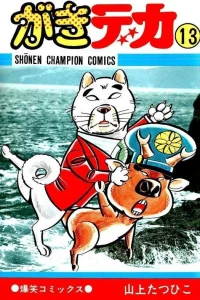Vol. 13