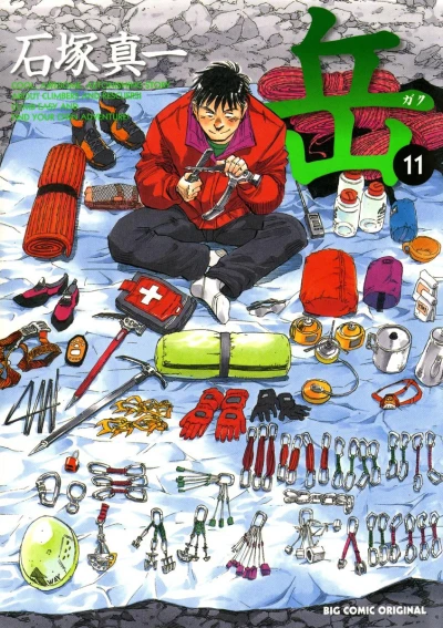 Cover of Vol. 11