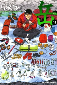 Vol. 11