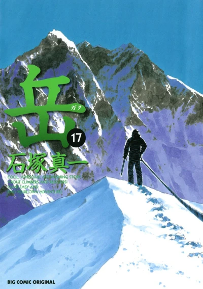 Cover of Vol. 17