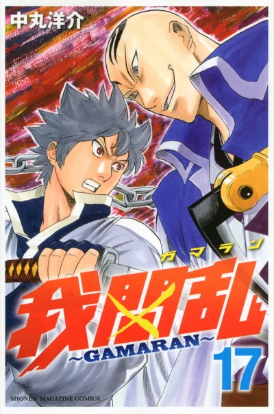 Cover of Volume 17