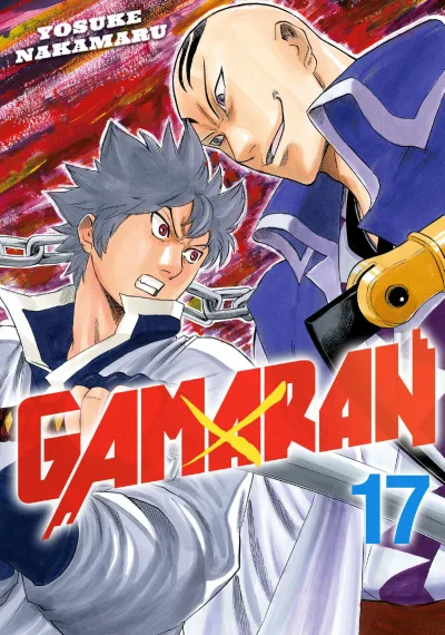 Cover of Volume 17