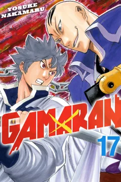 Volume 17