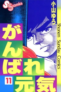 Vol. 11