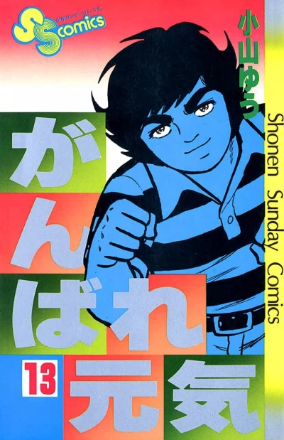 Cover of Vol. 13
