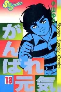 Vol. 13