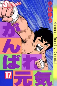 Vol. 17