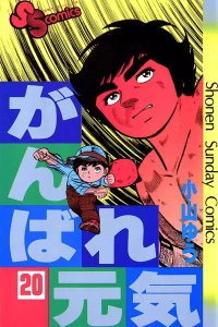 Vol. 20