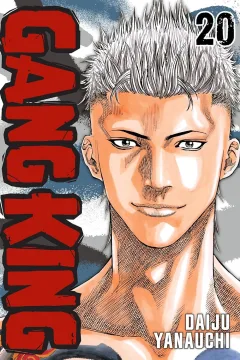 Vol. 20
