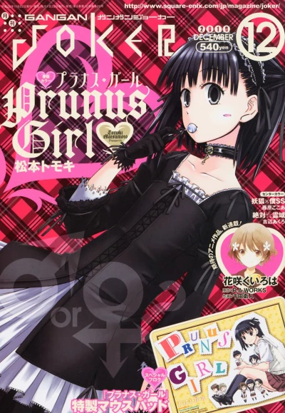 Cover of No. 12, 2010