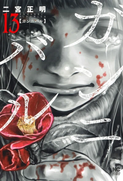 Cover of Volume 13
