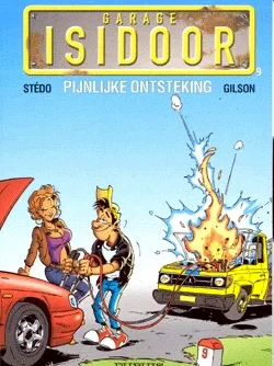 Cover of Pijnlijke Ontsteking