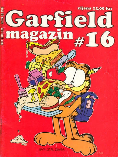 Cover of Issue #16