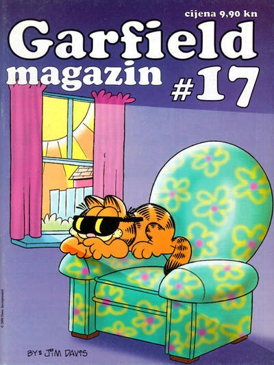Cover of Issue #17