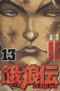 Vol. 13