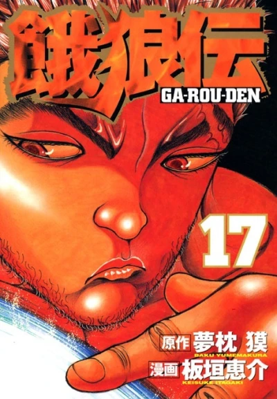 Cover of Vol. 17