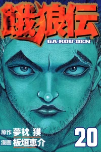 Vol. 20