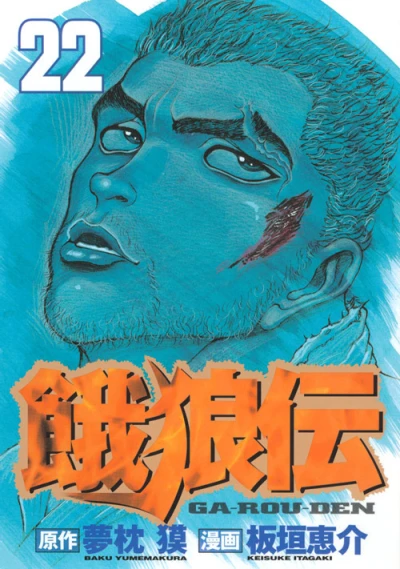 Cover of Vol. 22