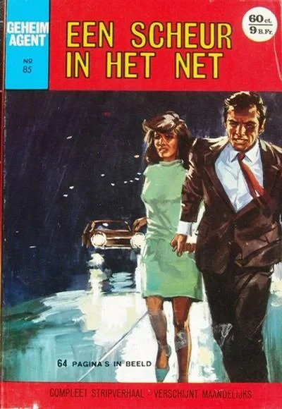 Cover of Een scheur in het net