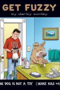 The Dog Is Not A Toy