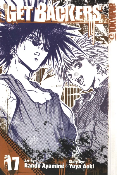 Cover of Vol. 17