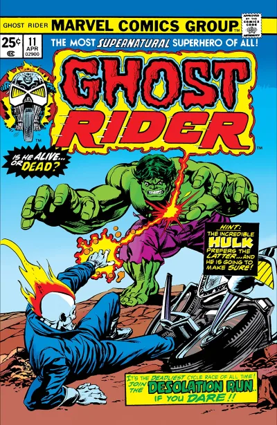 Cover of The Desolation Run!