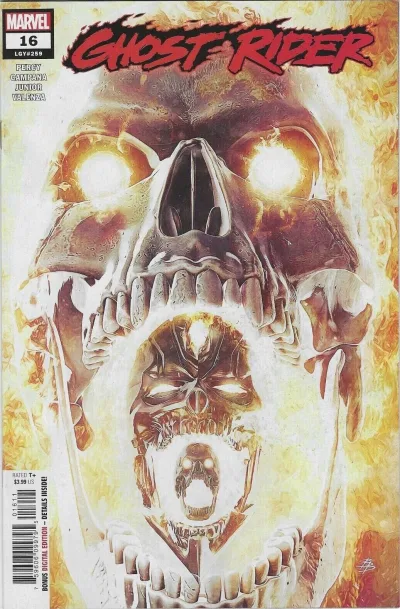 Cover of Night Rider