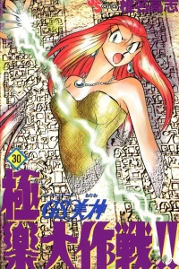 Volume 30