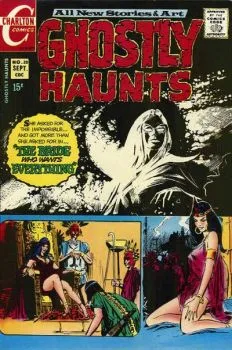 Cover of Issue #20