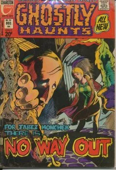 Cover of Issue #28