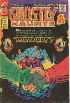 Cover of Issue #29