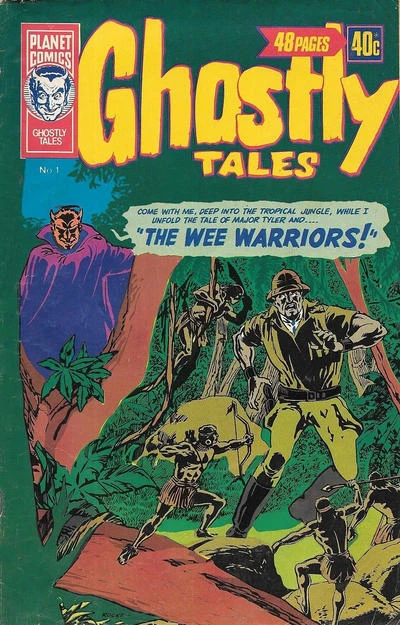 Cover of The Wee Warriors!
