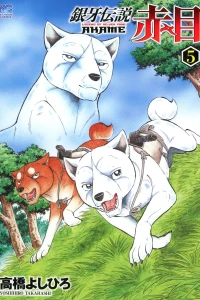 Vol. 5