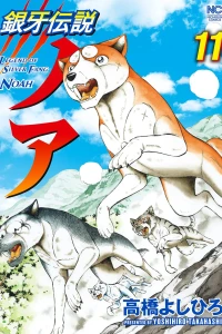 Vol. 11
