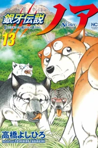 Vol. 13