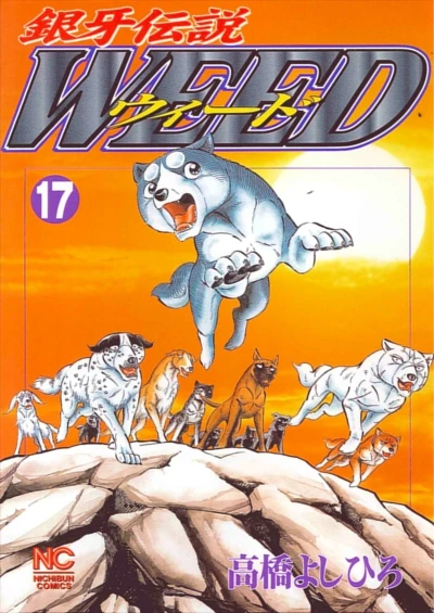 Cover of Vol. 17