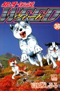 Vol. 36