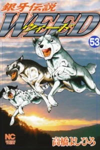 Vol. 53