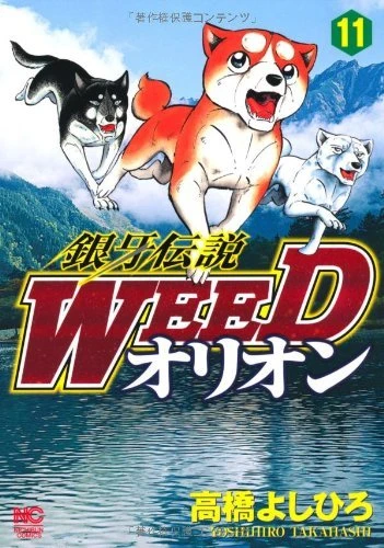 Cover of Vol. 11