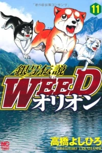 Vol. 11