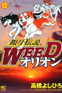 Vol. 12
