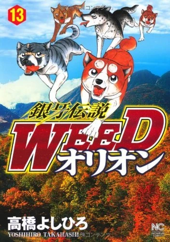 Cover of Vol. 13