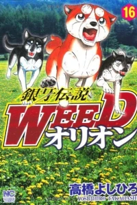 Vol. 16