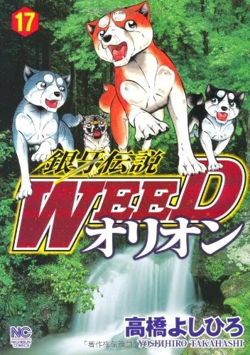 Cover of Vol. 17