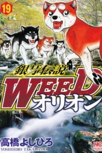 Vol. 19