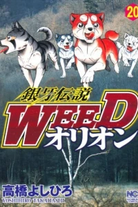 Vol. 20