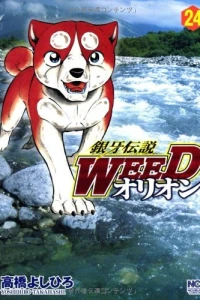 Vol. 24