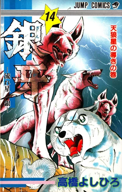 Cover of Ten Ōkami Hoshi no Michibiki no Maki