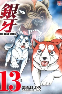 Vol. 13